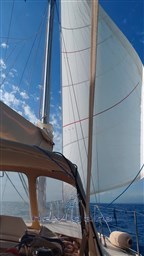 IMG-20260621-WA0003