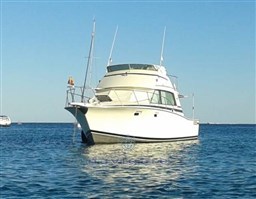 bertram-marine-union-usa-marine-union-bertram-38-fly-mk-3serie