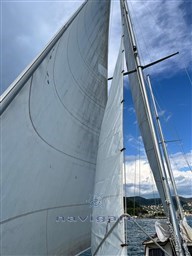 WhatsApp Image 2025-05-16 at 15.59.29