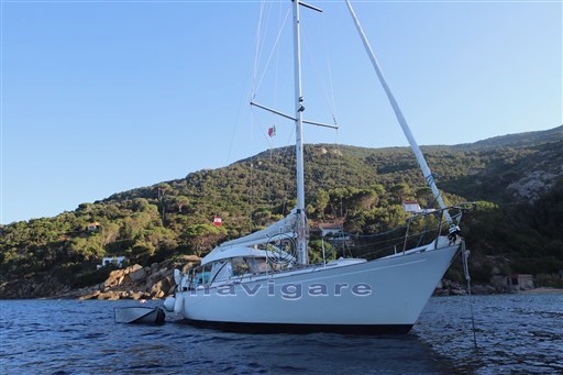 Trintella 3 Ilva_foto