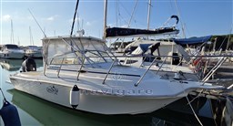 20251110_093356 - Copia