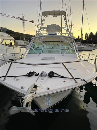 IMG-20240613-WA0040