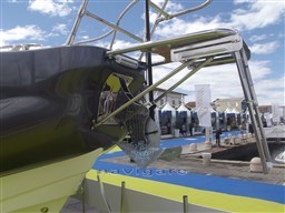 91792904_4110232882361430_5402831501295353856_n