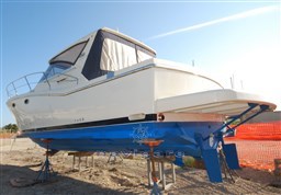 BISDSC_0067
