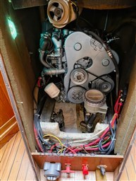 IMG-20261009-WA0009