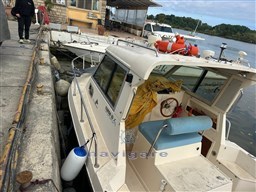 IMG-20260527-WA0022