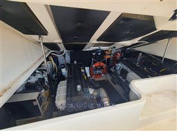IMG-20241111-WA0016