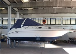 IMG-20260829-WA0016