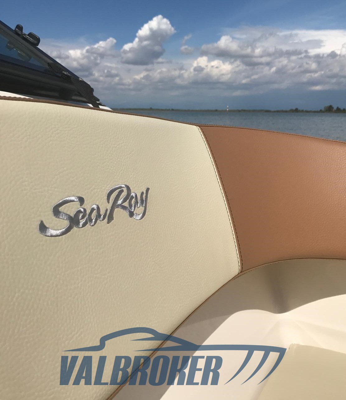 Sea Ray SPX 190 (4)