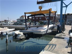 Sea Ray SPX 190 (1)