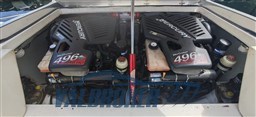 motori sonic 31 (5)