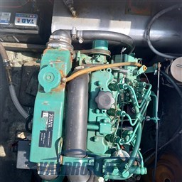 gozzo baciccia tecniche (11)