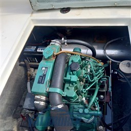 gozzo baciccia tecniche (8)