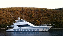 Hatteras 70 convertible 2004 valbroker  (7)
