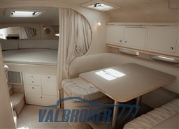 SeaRay-310-17