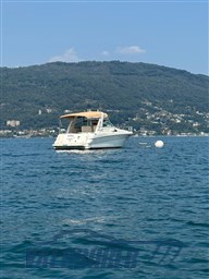 Sea Ray 310 Lago Maggiore