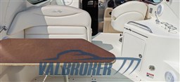 Sea Ray 315 Garda esterni (5)