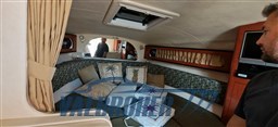 Sea ray 315 garda interni (17)