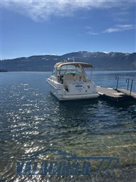 Sea ray 310 esterni valbroker (4)
