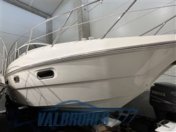 Sealine c39 interni (1)
