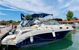 sea ray 255