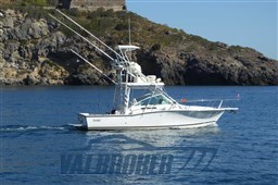 Carolina 28 classic (7)