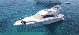 Sea ray 480 sedanbridge 2001 (42)