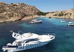 Sea ray 480 sedanbridge 2001 (7)