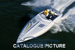 BAJA 30 FOTO CATALOGO