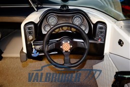 Sea Ray 200 Valbroker (18).JPG