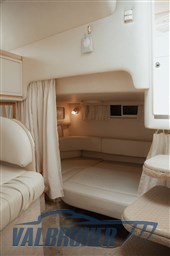 SeaRay-310-19