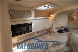 SeaRay-310-9