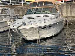 Sea ray 31 (6)