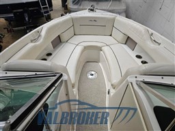 SEARAY_250_SLX (10)