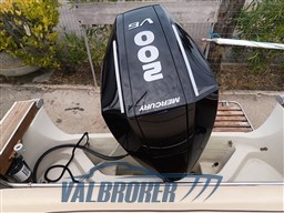 Boston Whaler 22 (45)
