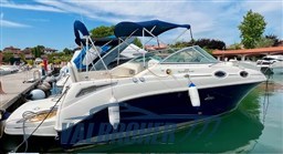 Sea Ray 255 Sundancer (3)