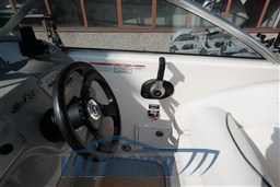 Sea Ray 255 Sundancer (57)