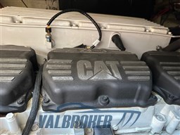 Dalla PIetà 48 foto (26)