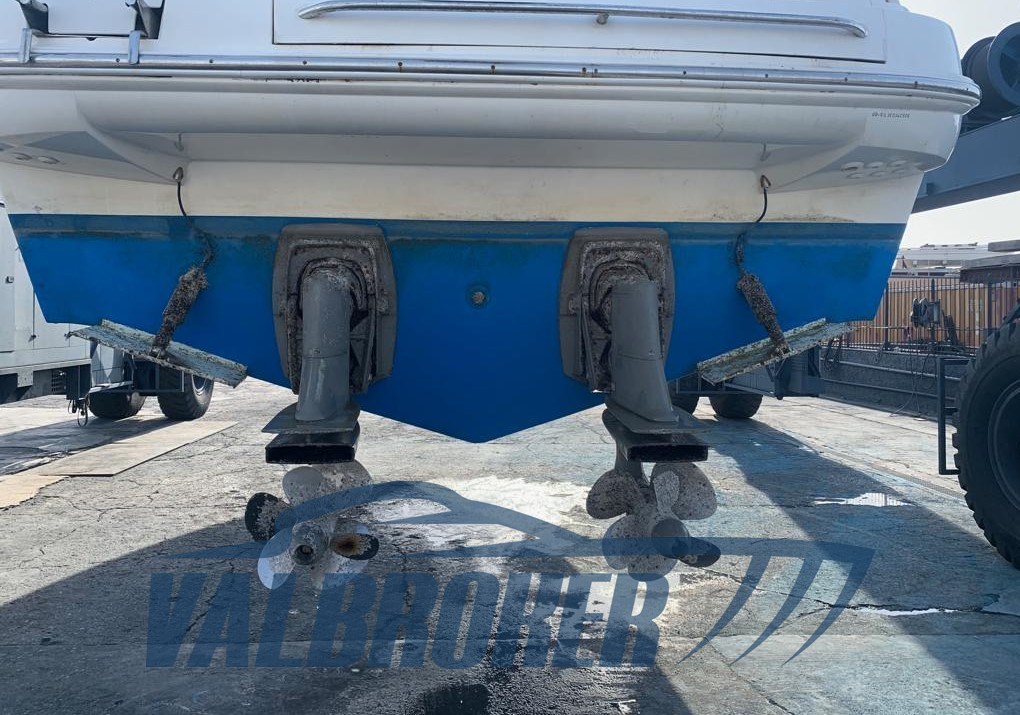 Sealine SC 39 Foto 2020 (3)