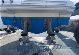 Sealine SC 39 Foto 2020 (3)