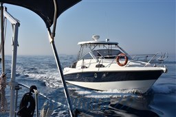 Cranchi Pelican 32 2005 (24)