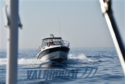 Cranchi Pelican 32 2005 (21)