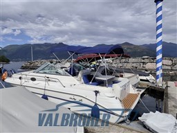 Sea ray 270 1998 (13)