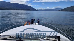 Sea ray 270 1998 (2)