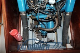 Colombo Bartolomeo Varazze (12)