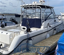 Boston 285 conquest 2007 (4)