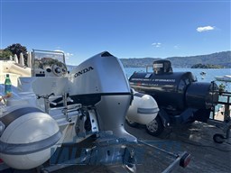 Ondina lago maggiore (6)