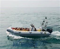 Zodiac Medline I 2000 (17)