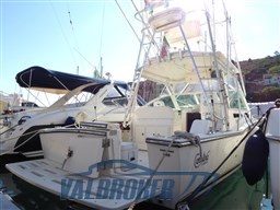 Carolina 28 (2)