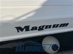 Magnum 53 1992 tecniche (21)